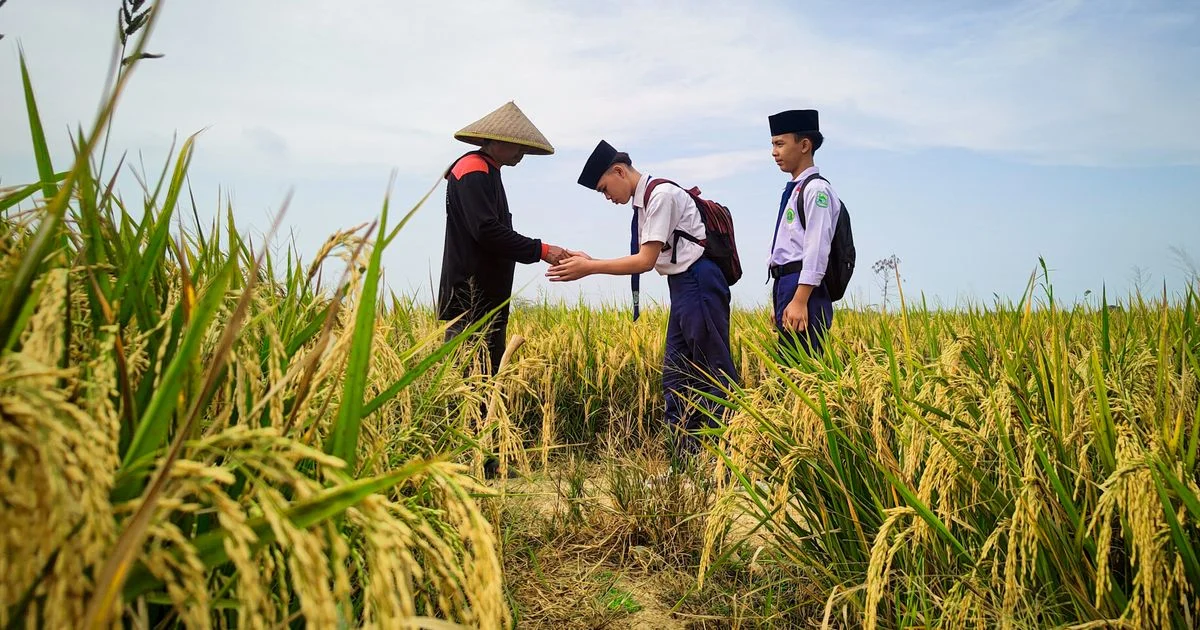 Cara Membangun Budaya Kerja yang Baik di Sekolah untuk Mutu Pendidikan